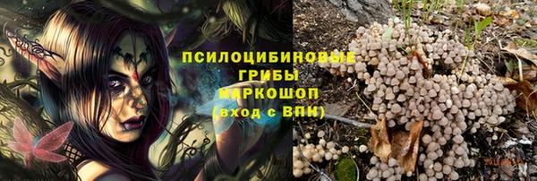 мдпв Приозерск