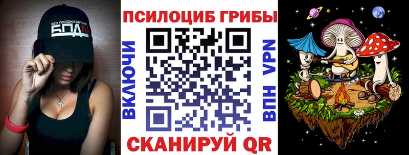 Псилоцибиновые грибы мицелий  Щёкино 