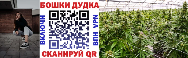 Каннабис гибрид  Щёкино 
